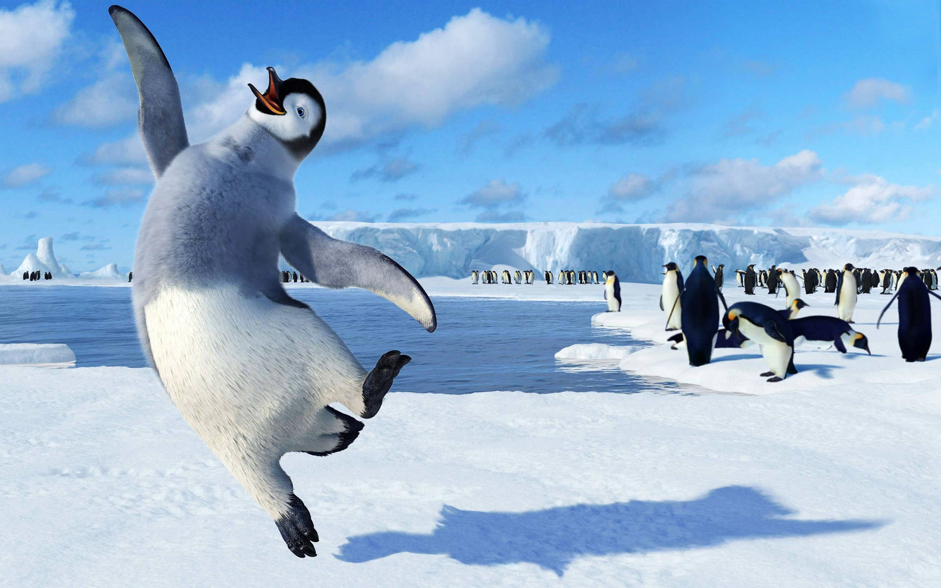 Happy Face Happy Feet Wallpaper