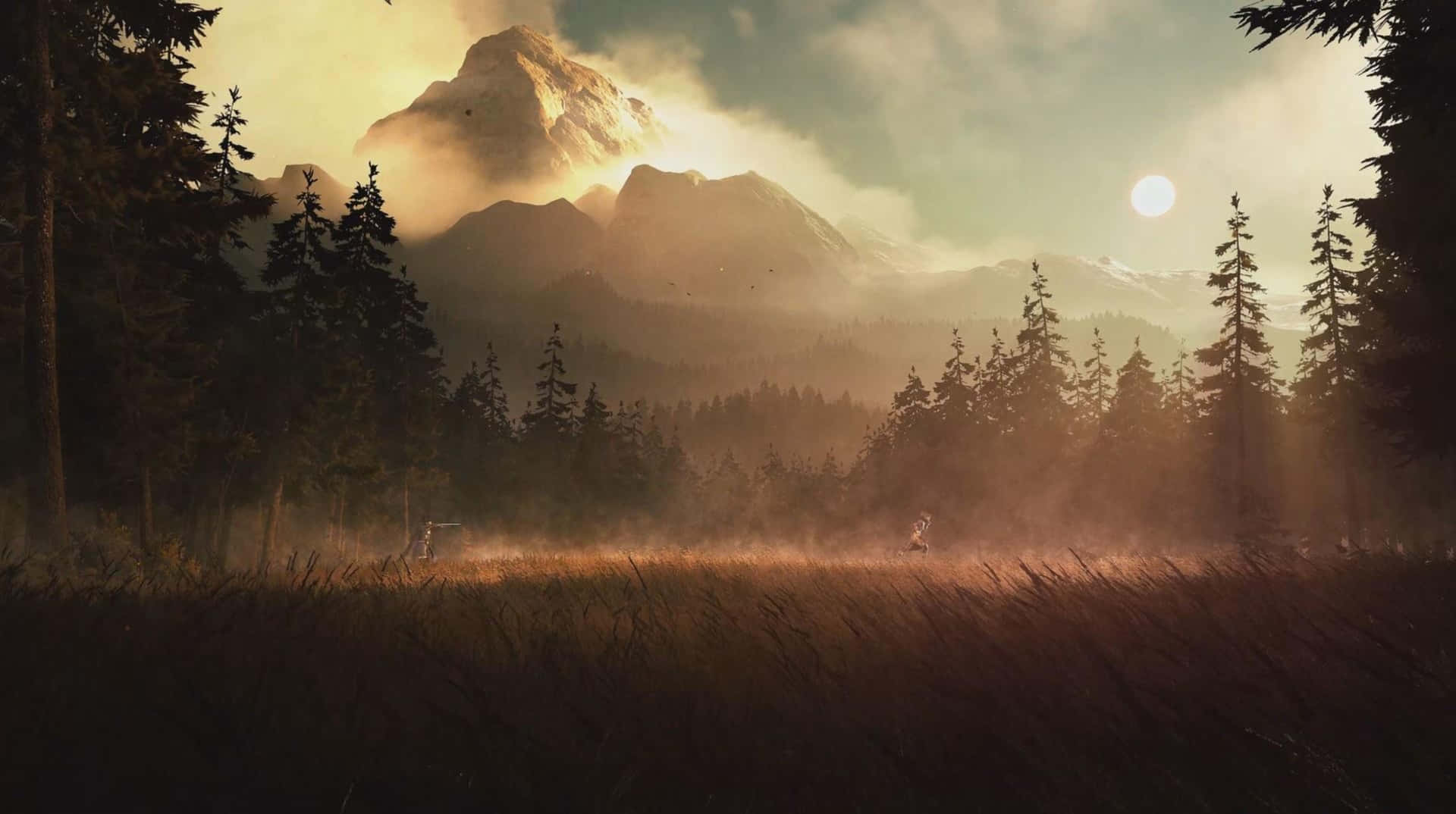 Fondode Pantalla Hd De Greedfall En Un Campo En Medio De Un Bosque.