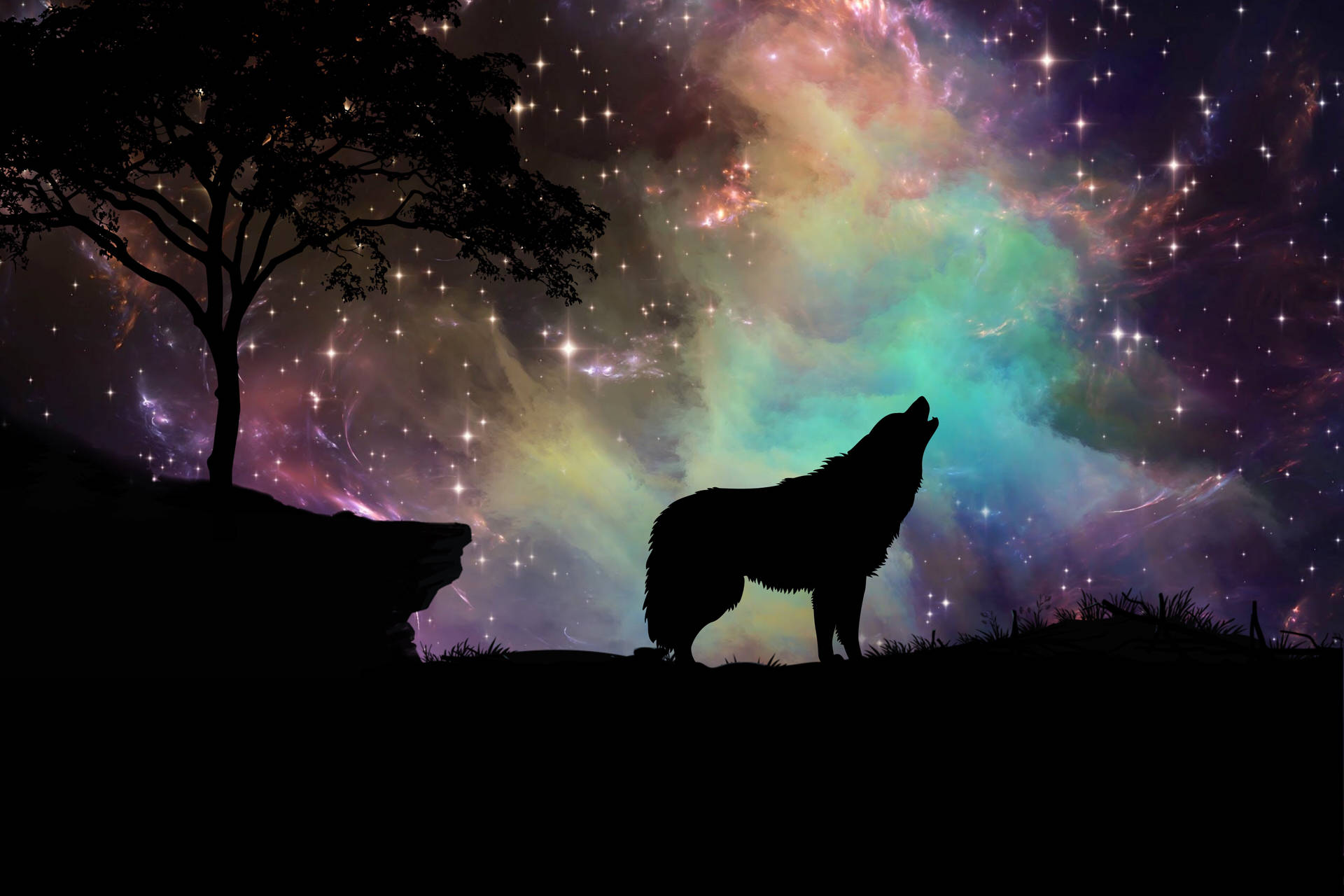 Fondode Pantalla De Lobo En Alta Definición En El Espacio Sideral. Fondo de pantalla