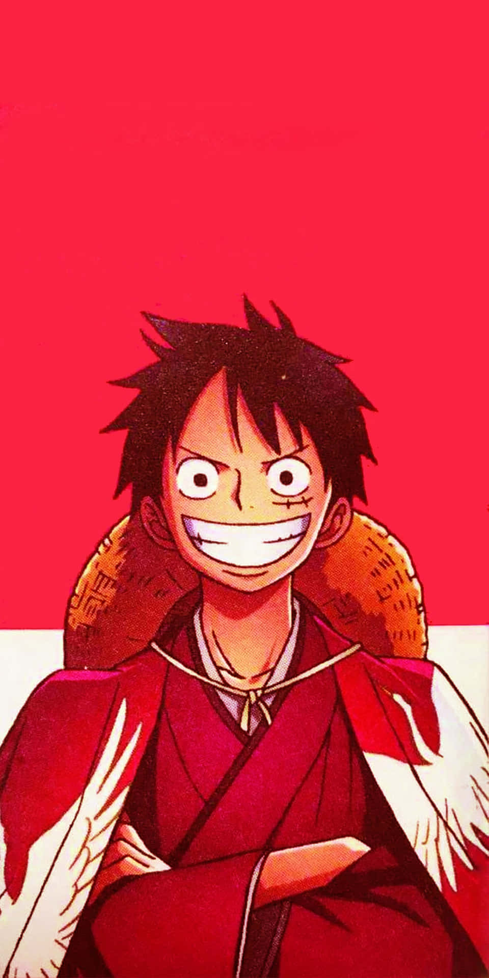 Luffy,den Äventyrslystna Piraten!