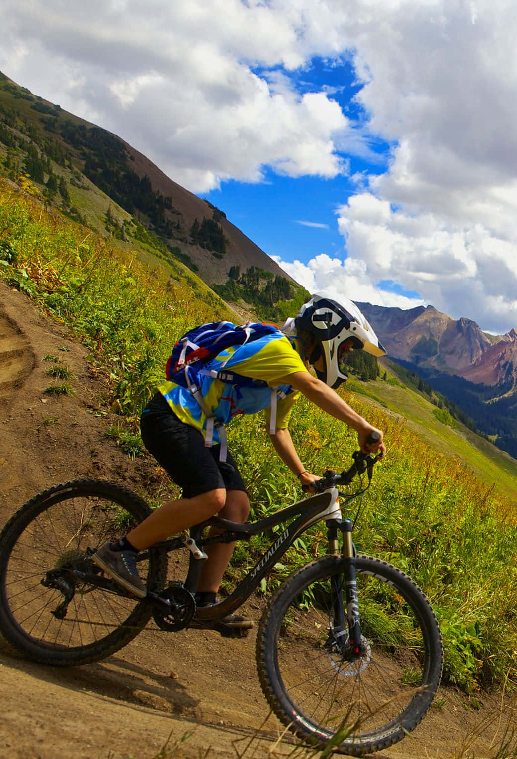 Mountainbikefahrten Für Den Startbildschirm Des Iphones Wallpaper