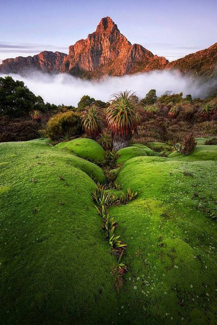 Montanhacom Neblina De Musgo Da Tasmânia. Papel de Parede