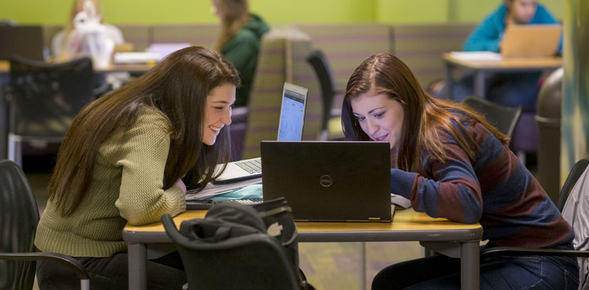 USF Undergrad students working together on a laptop.