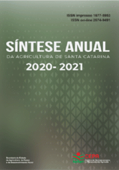 Capa_sintese_2021