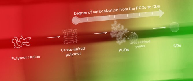 Nanoscale Carbon-Polymer Dots for Theranostics and Biomedical Exploration