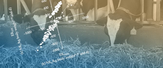 Indirect Calorimetry in Dairy Cows Provided 3-Nitrooxypropanol and Varying Concentrate Proportions Using the GreenFeed System