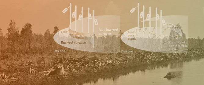 A Field Study of Tropical Peat Fire Behaviour and Associated Carbon Emissions