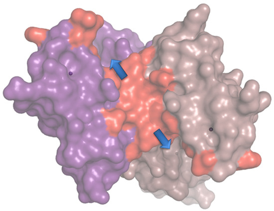 Pharmaceuticals 15 00632 g005 550