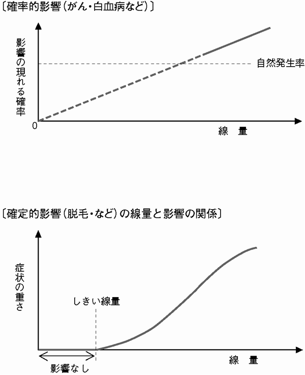 確率的影響