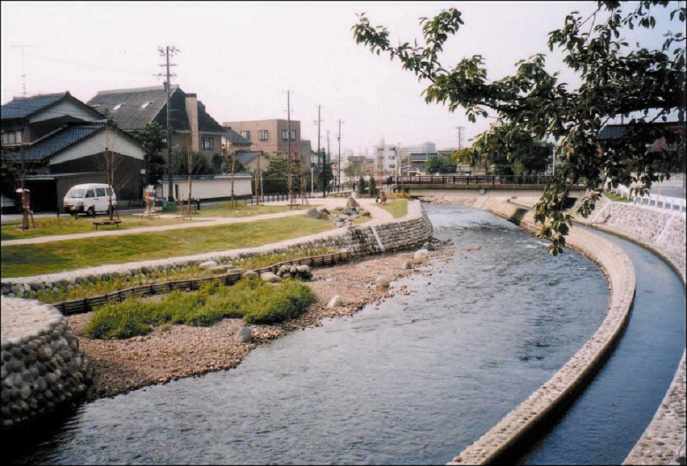 いたち川の水辺と清水