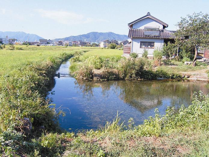 真名井の清水