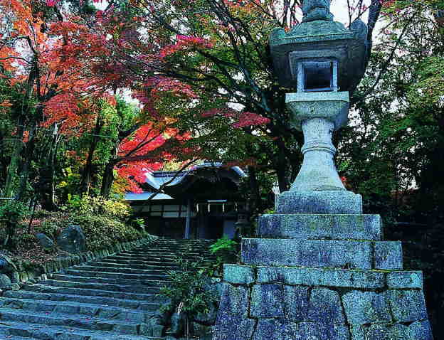 枚岡神社の社叢