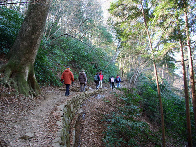 高尾山の画像