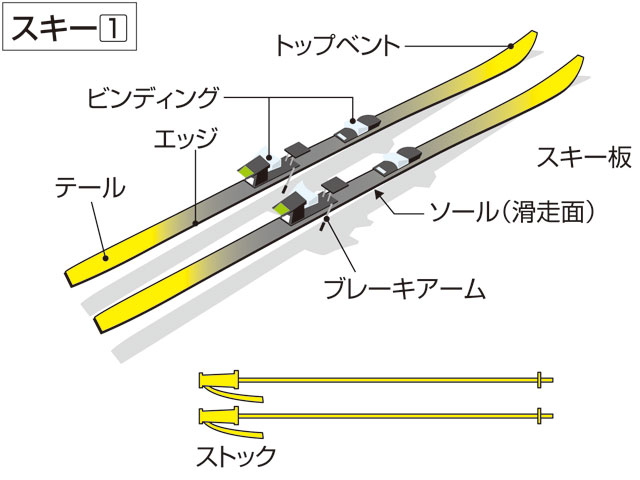 スキーの画像