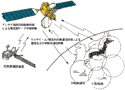 きく6号