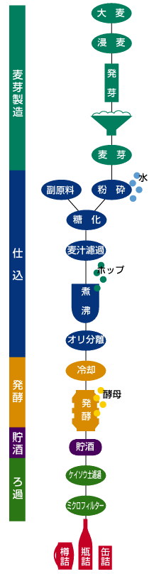 ビールの製造工程