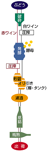 ワインの製造工程