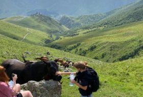 A view down steep rolling hills with people petting horses in hiking attire