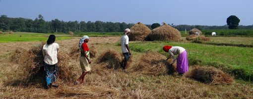 Impact of Water Management on Methane and Nitrous Oxide Emission Dynamics in Asian Paddy Ecosystems