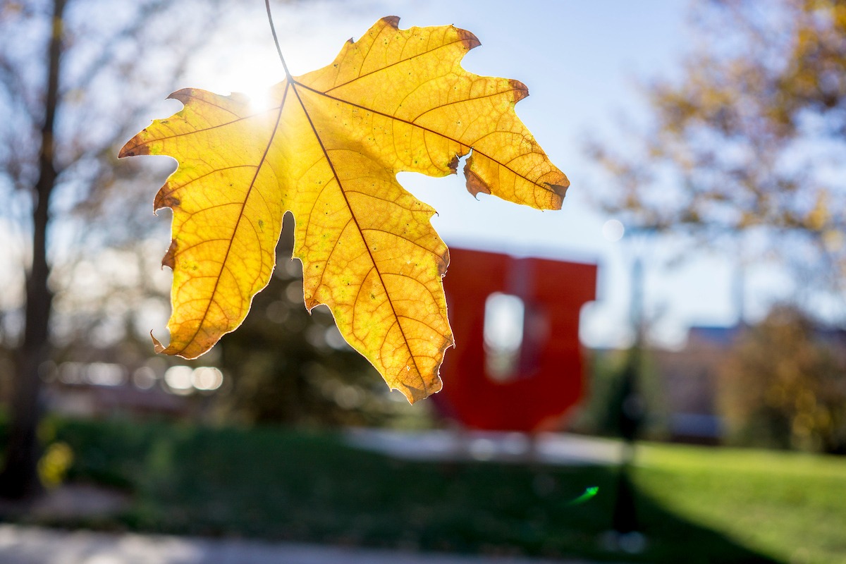 A yellow leaf positioned against a blurred, red block 'U'.