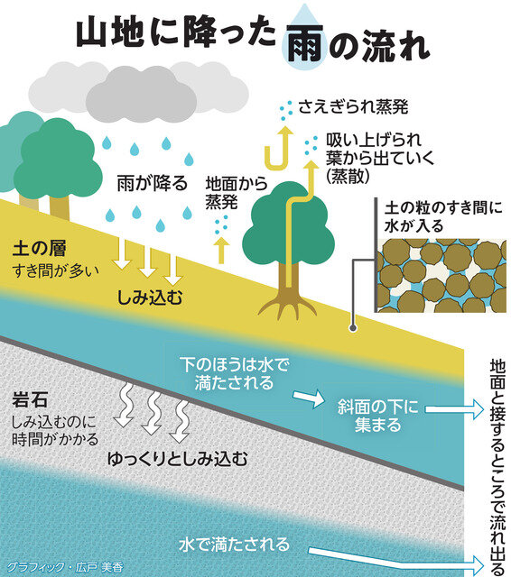 山に降った雨の流れ