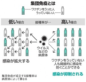 写真・図版