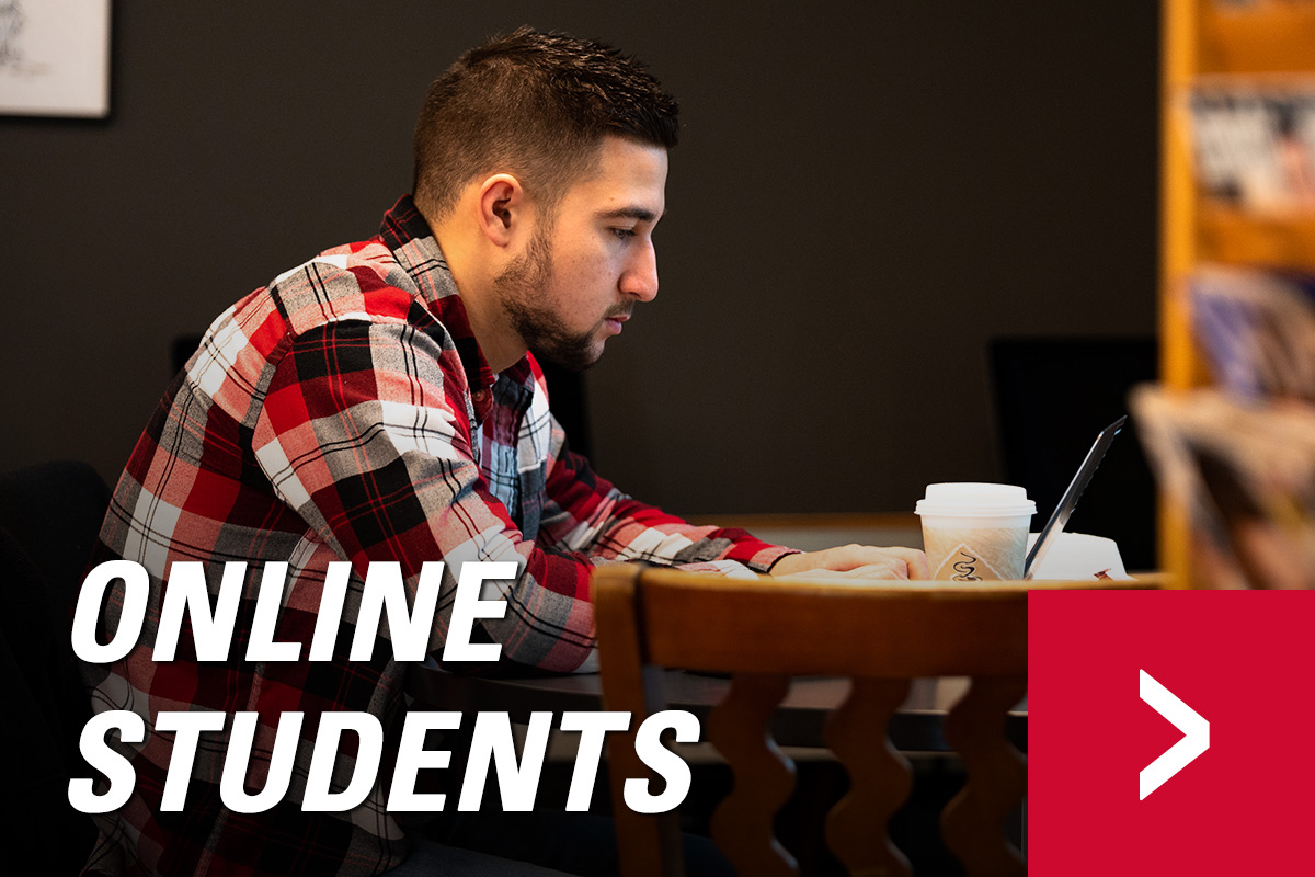 Online Students