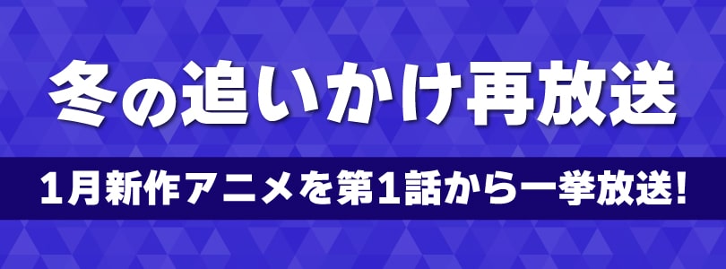 冬の追いかけ再放送2025年1月