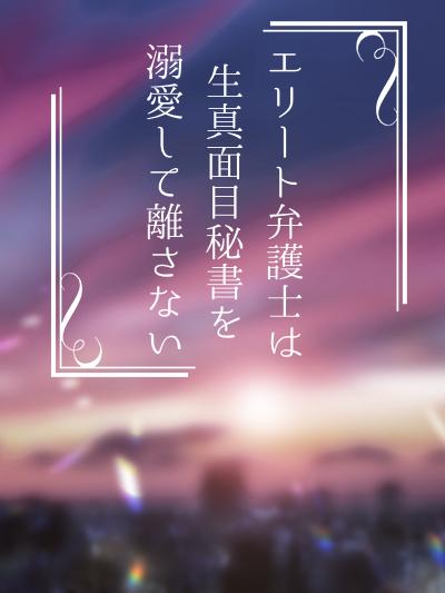 エリート弁護士は生真面目秘書を溺愛して離さない