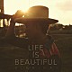 平井大「Ｌｉｆｅ　ｉｓ　Ｂｅａｕｔｉｆｕｌ」