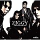 ＺＩＧＧＹ「ＪＵＳＴ　Ａ　ＲＯＣＫＩＮ’ＮＩＴＥ」