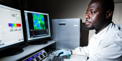 Man using computers to undertake research.