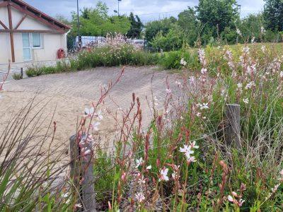 visite-la-haye-fouassiere-renaturation-2024-48