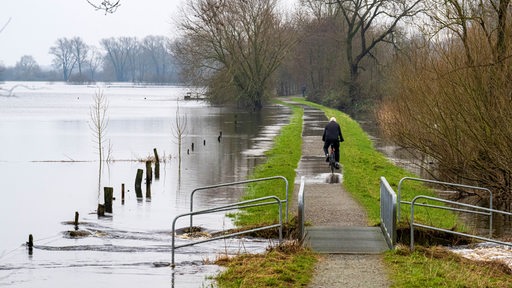 Ein Radfahrer fährt über den Deich an der Wümme im Bremer Ortsteil Borgfeld.