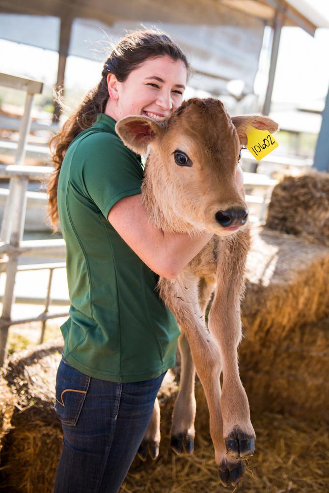 CAFES student with calf