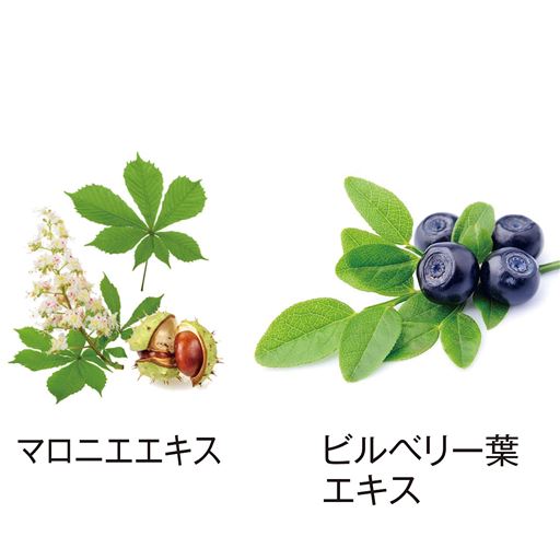 植物由来の保湿成分<br>※イメージ