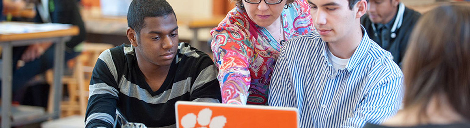 Faculty at Clemson University, Clemson SC