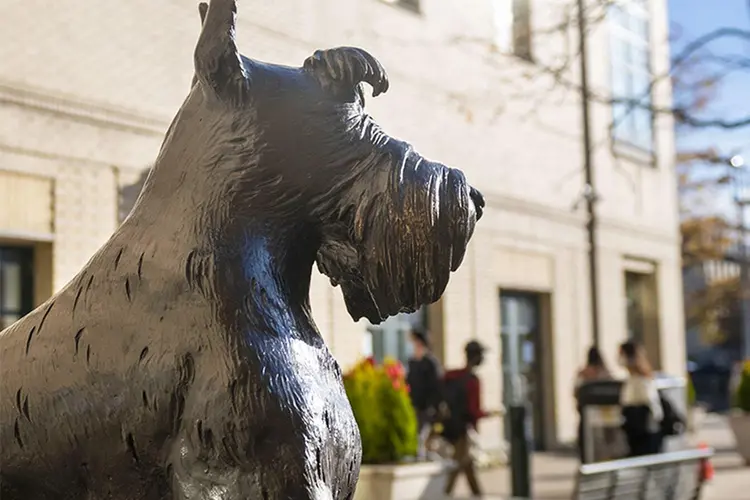 2022-yir-close_mc-211108c-scotty-dog-statue03_900x600-min.jpg