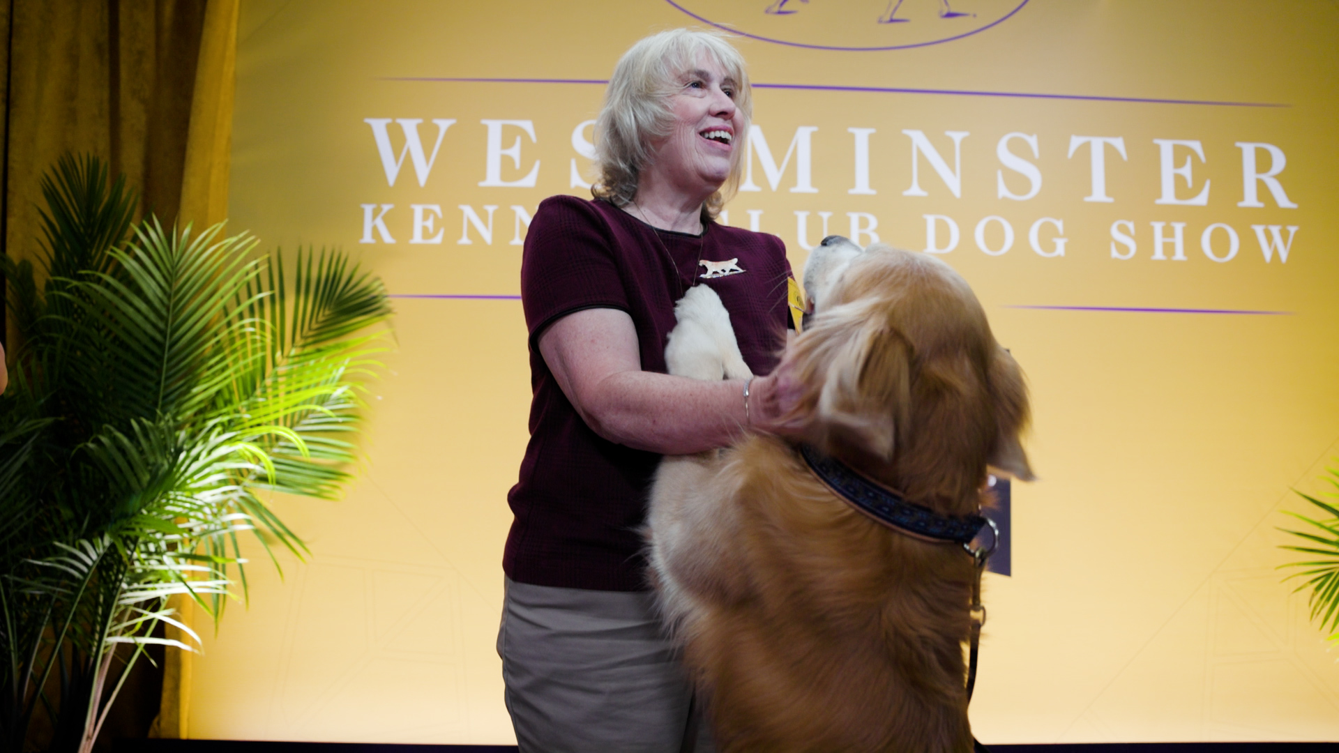 A woman with a dog standing on its hind legs, paws on her chest.