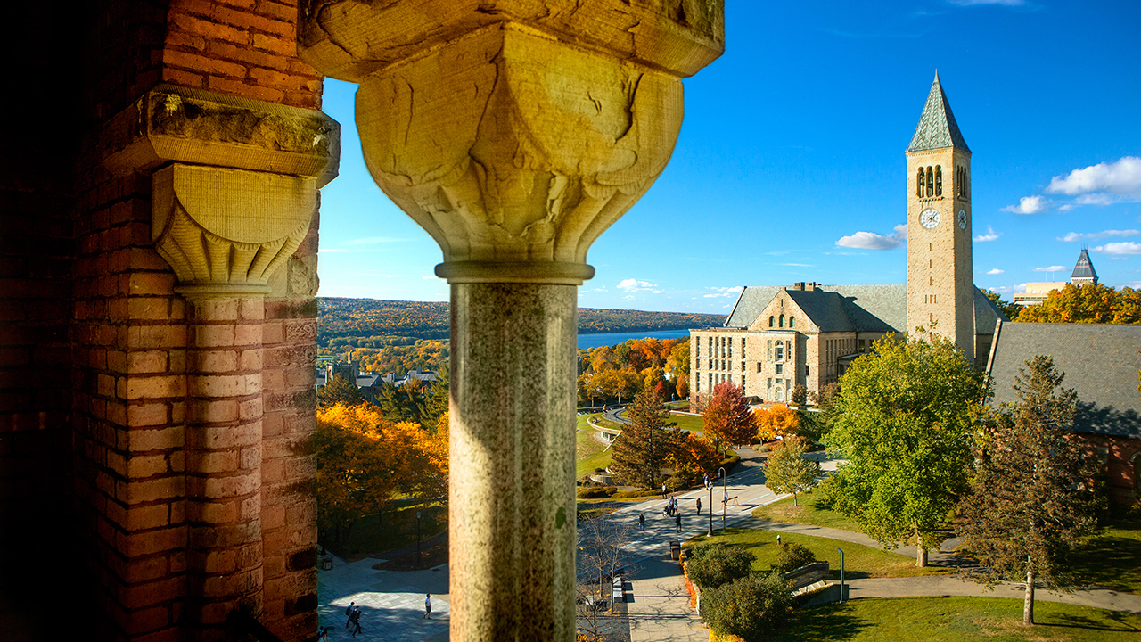 View of campus from Barnes Hall Tower