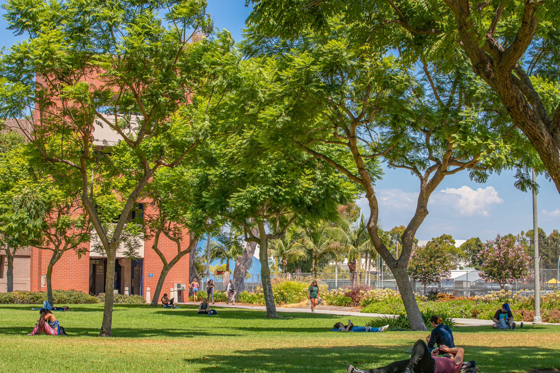 Students on campus