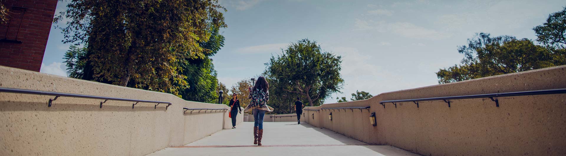 Students on campus bridge