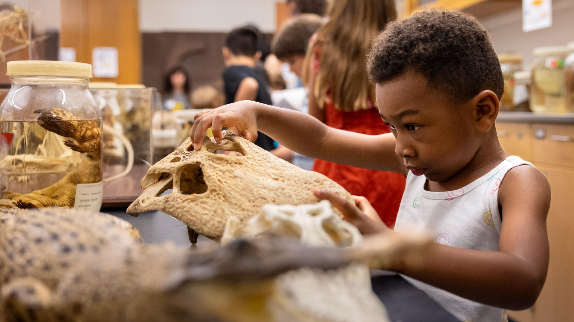 Banner of boy in Mammal Lab