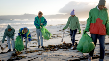 Sustainability: beach clean-up