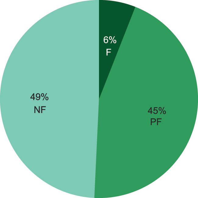 Figure 9: 
Requirement 1.2.3: intelligent solution space exploration – F = fulfilled, PF = partially fulfilled, NF = not fulfilled.
