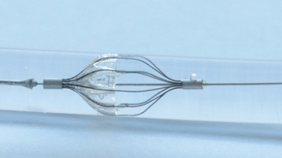 Figure 1 Angioguard RX as an example for an embolic protection device for capturing plaque particles in the carotid artery.