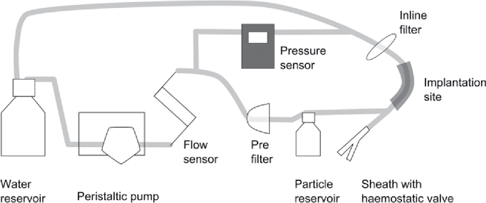 Figure 2 Test setup for the evaluation of the pressure gradient of different embolic protection devices.