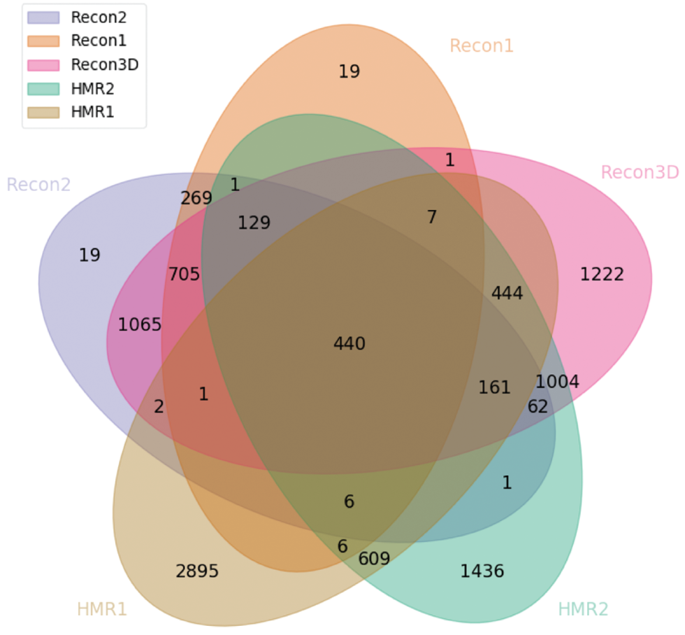 Figure 8: Venn diagram highlighting the number of reaction clusters integrated between all the main versions of Recon and HMR.