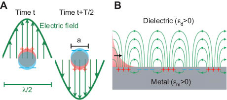 Figure 2 Schematics of (A) localized surface plasmon (LSP) and (B) surface plasmon polariton (SPP) modes at metal dielectric interfaces, showing both the charge density oscillations in the metal and the electric fields in the surrounding dielectric.