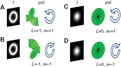 Figure 2 Intensity (white image in black background), (helical) phase (green) and spin (or polarization state, shown as curved arrows) of beams carrying OAM of L and spin of S: (A) a spin and OAM aligned beam; (B) a spin and OAM anti-aligned beam; (C, D) Gaussian beams with L=0 and with two degrees of freedom for spin.